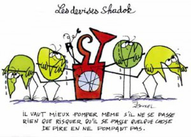 Shadok