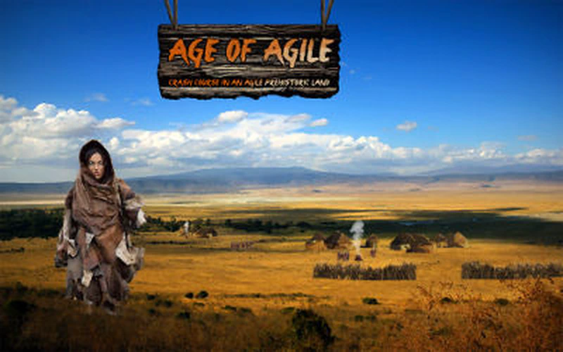 We play agile
