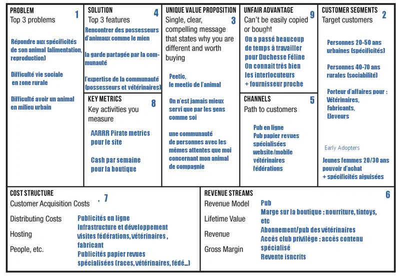 Lean Canvas
