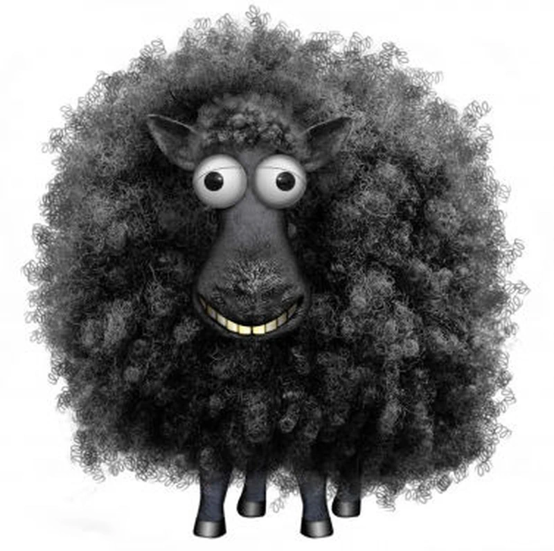 Black Sheep