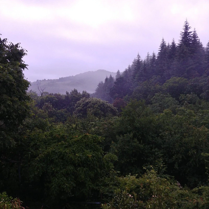 Cévennes du raid agile