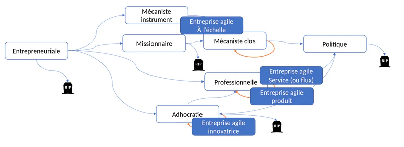 Cycle de vie 2