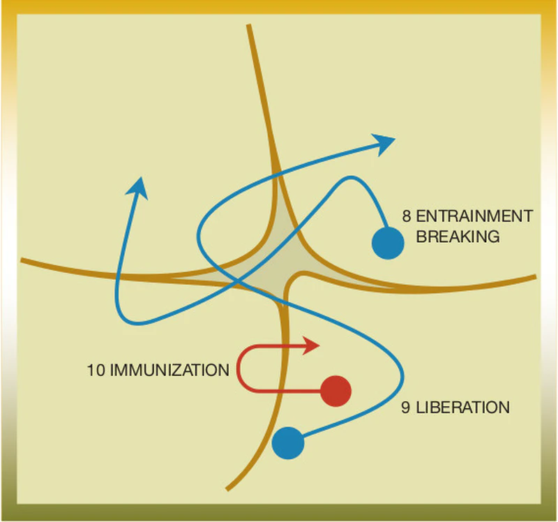 Cynefin Dynamics