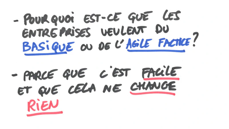 pourquoi faire du factice ?